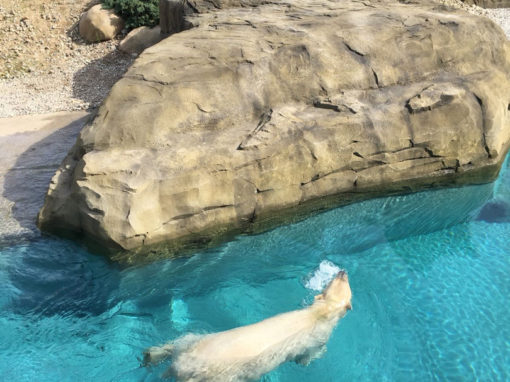 Zoo Rostock